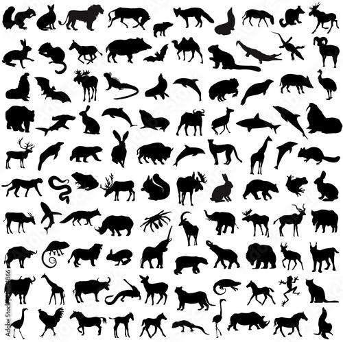 Hundred silhouettes of wild animals  birds and reptiles