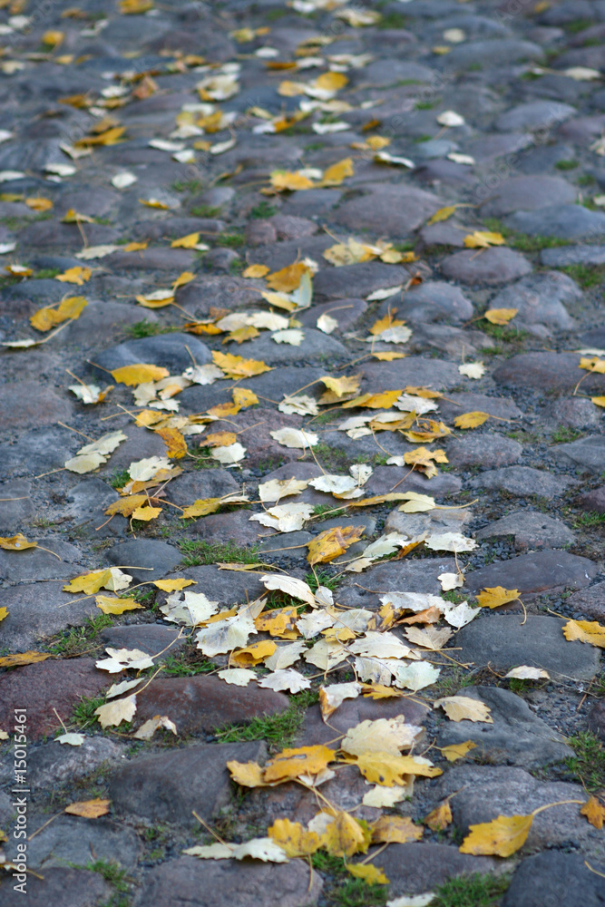 Pavement, paved road. Great background.