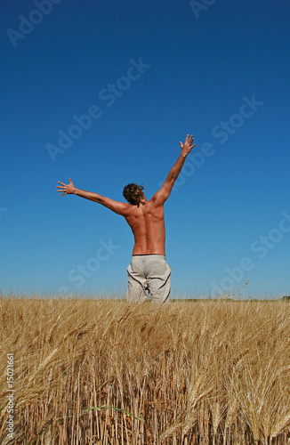 liberté, homme dans un champs de blé © M.studio