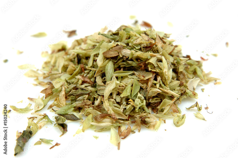 Oregano Oregano