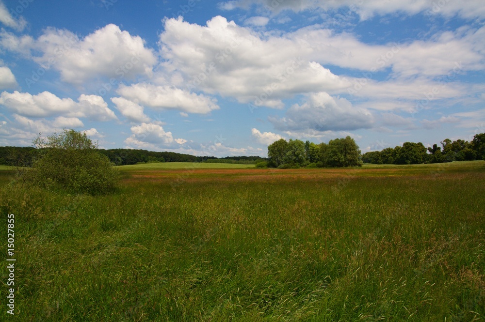 Fototapeta premium Brandenburger Landschaft