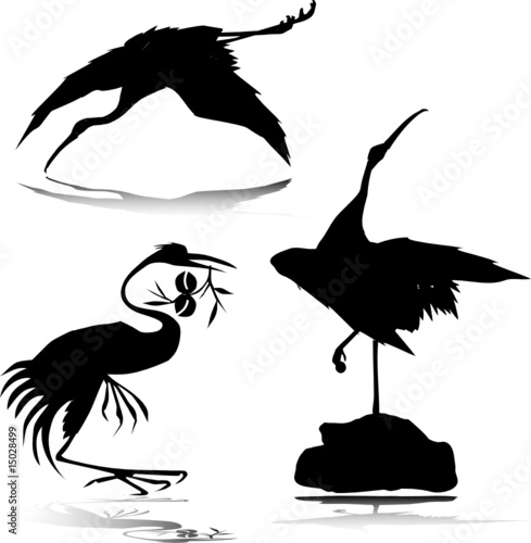 stork vector silhouettes