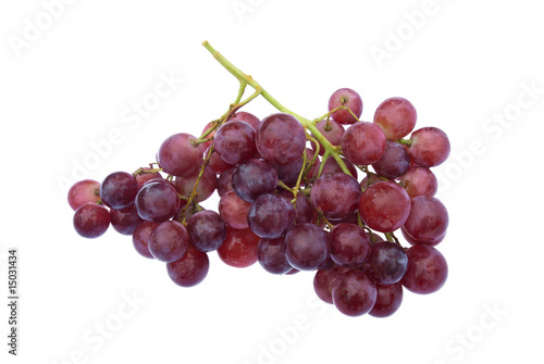 Grape cluste