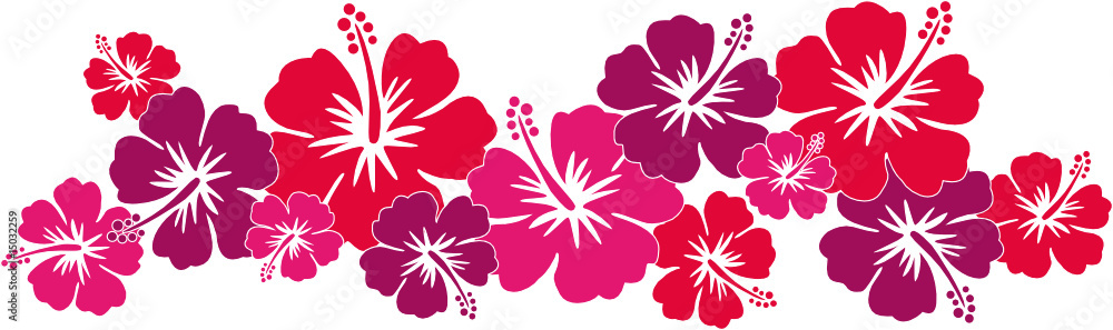 Hawaiiblumen rot (Bordüre)
