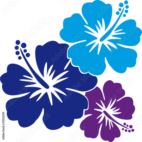 Hawaiiblumen blau