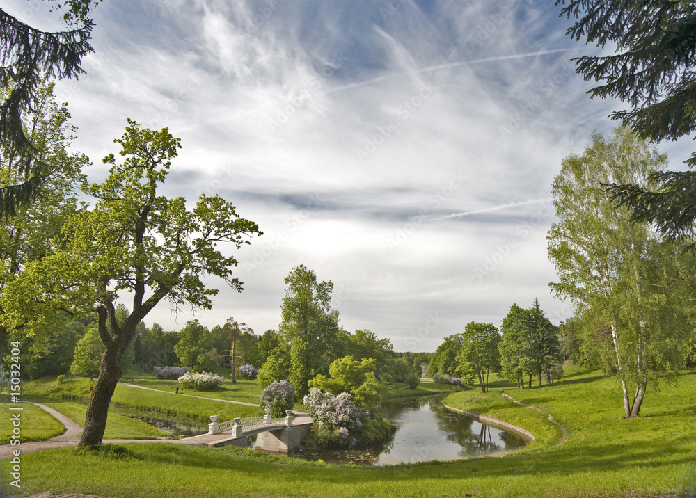 Fototapeta premium Picturesque view of summer park
