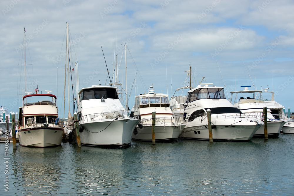 Fototapeta premium Luxury yachts in Key West harbor, Florida