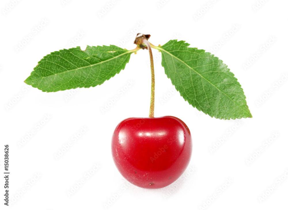 cherry