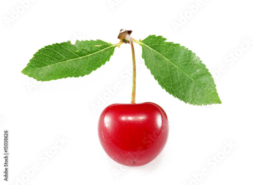 Obraz na płótnie cherry w salonie