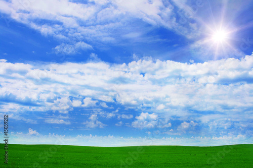 Green field,sky and sun.