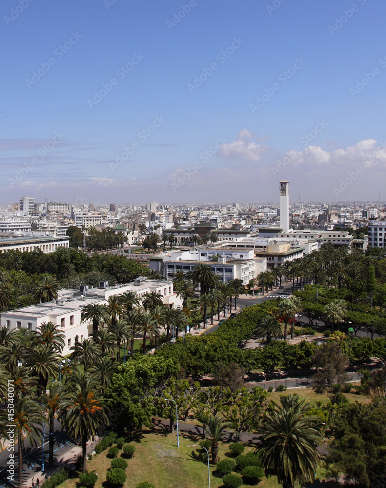 Fototapeta premium Casablanka