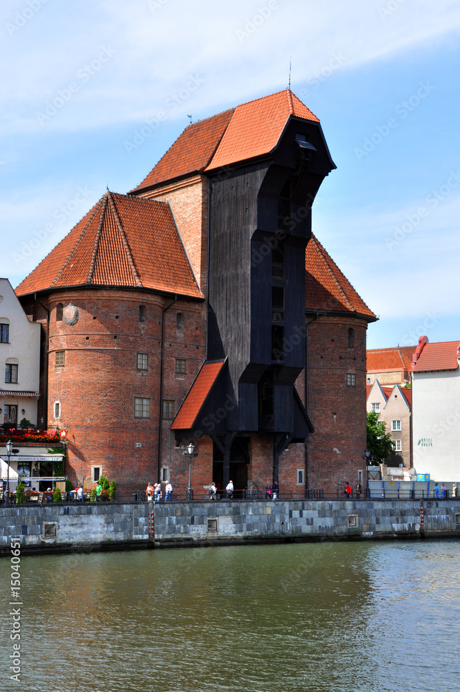 Obraz premium żuraw gański