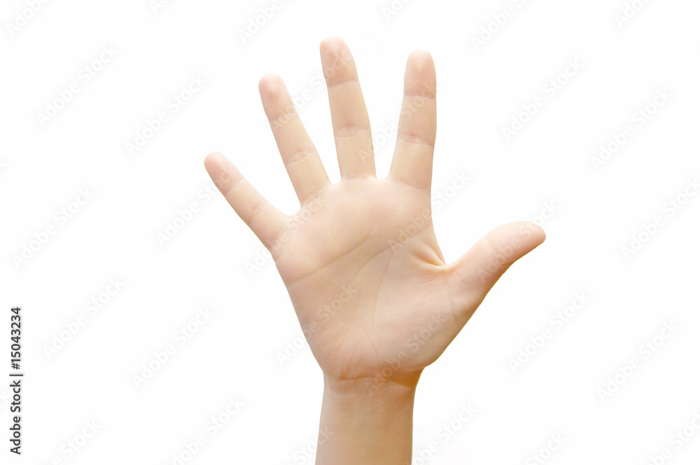 Woman hand (palm) isolated on white background Woman hand (palm) isolated on white background