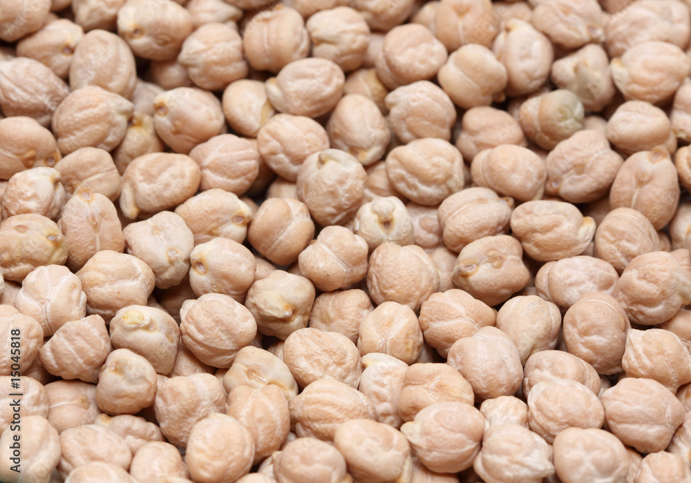 garbanzo garbanzo