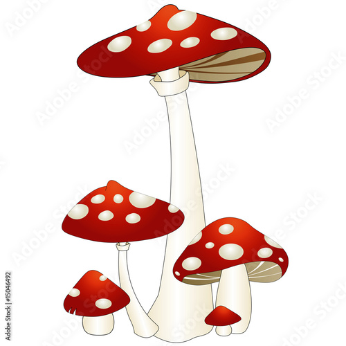Mushrooms