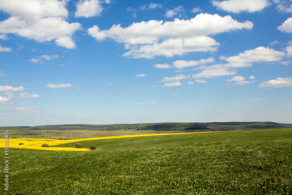 Obraz premium Spring