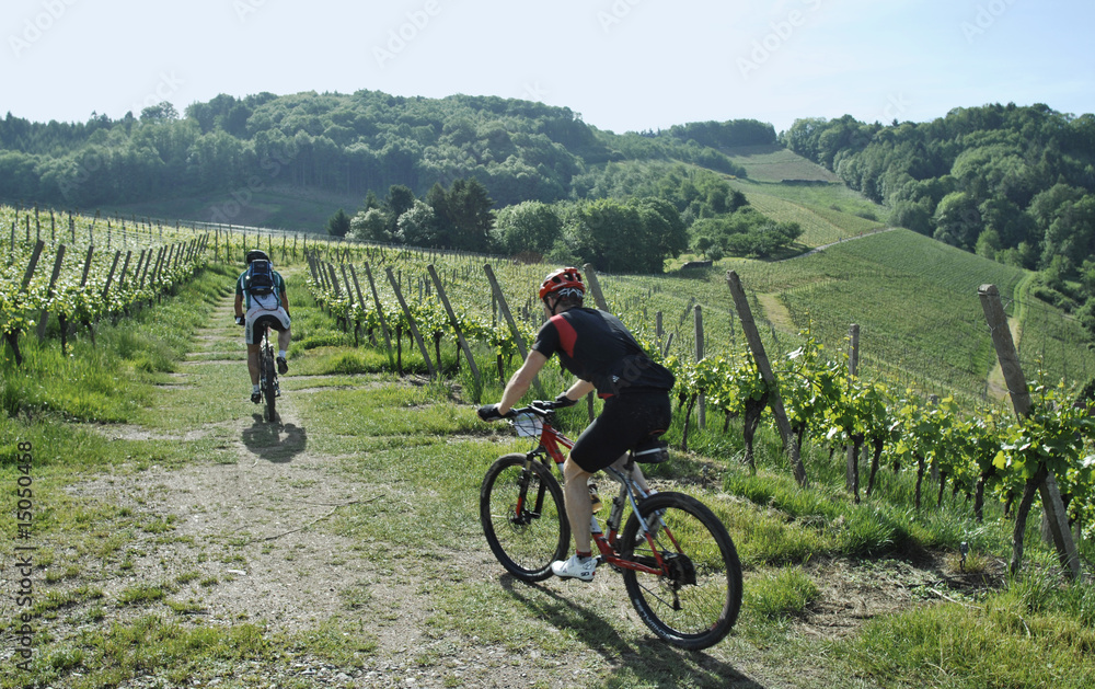 Fototapeta premium Mountainbiken im Schwarzwald