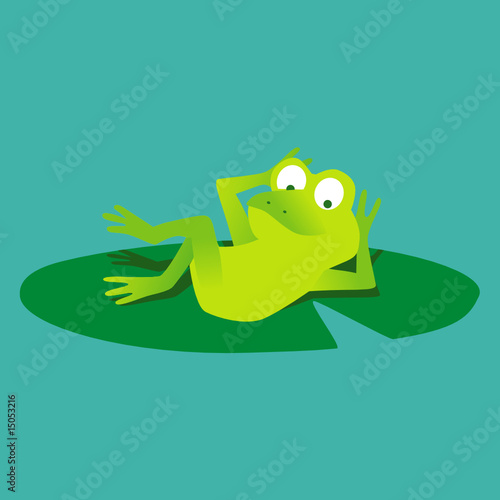 Grenouille au repos