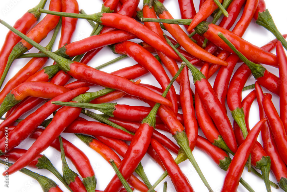 Thai Chilli StockFoto Adobe Stock