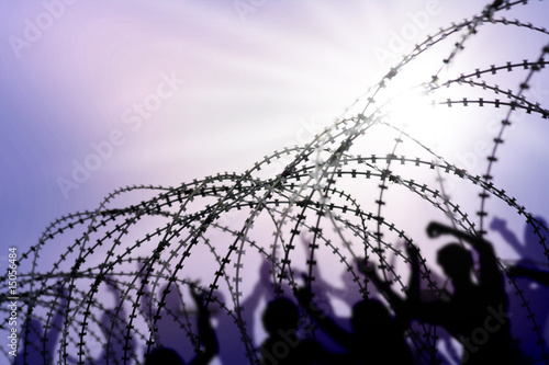 barbed wire