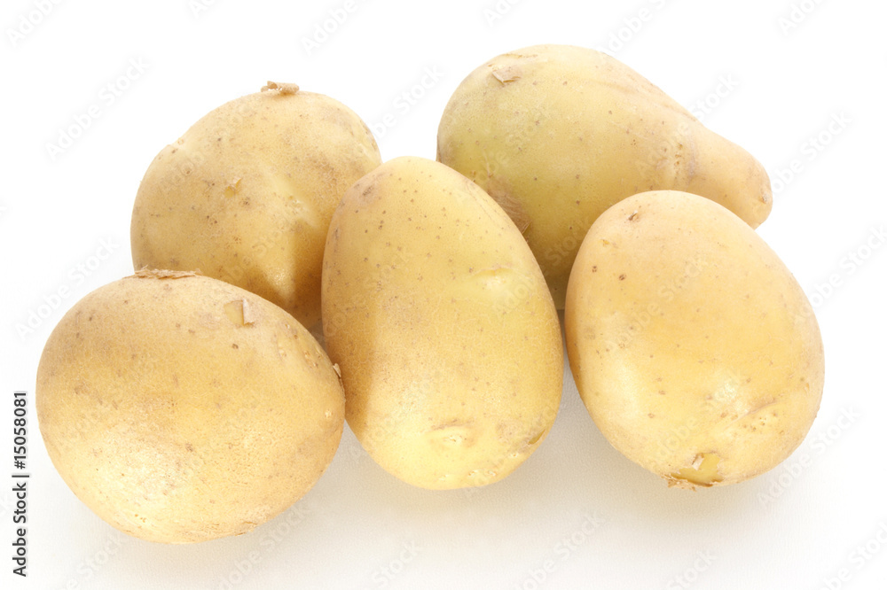 junge Kartoffeln auf einer weissen Flaeche junge Kartoffeln auf einer weissen Flaeche