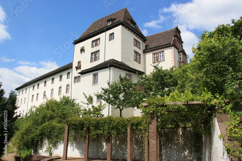 Schloss in Fürstenberg