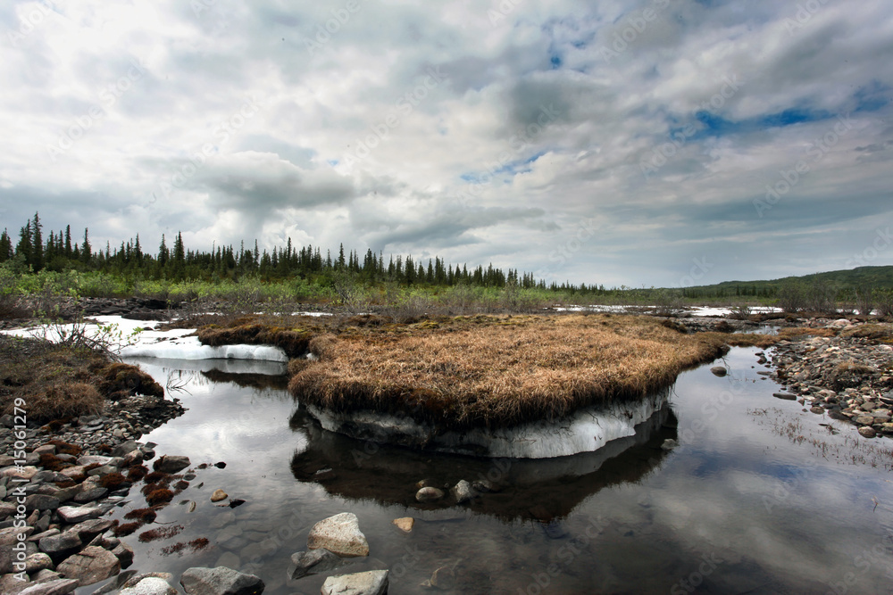 Naklejka premium Permafrost, Alaska