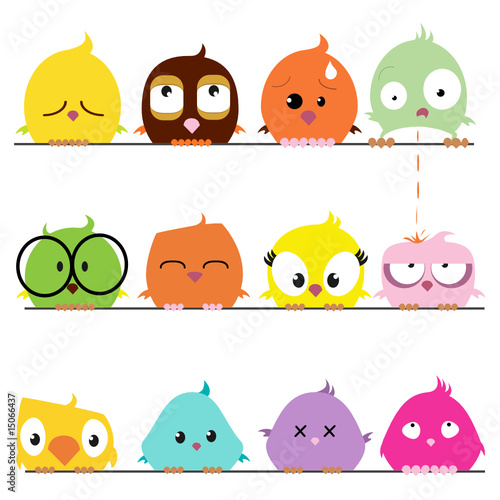 cartoon bird set