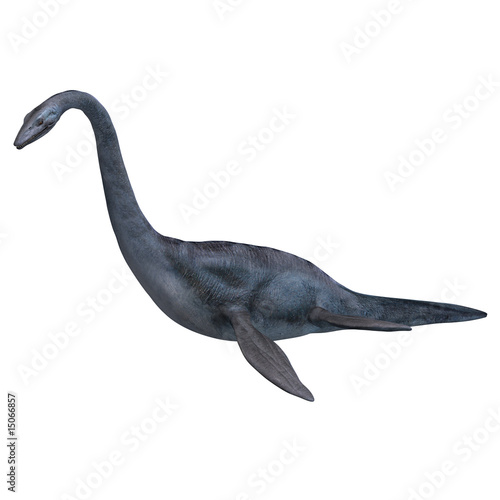 Elasmosaurus photo