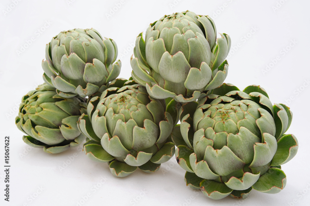 Fototapeta premium Artichoke