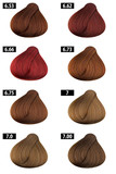 Hair Color Catalogue 6