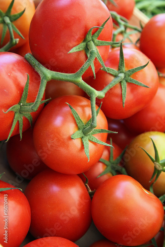 Grappe de tomates au marché
