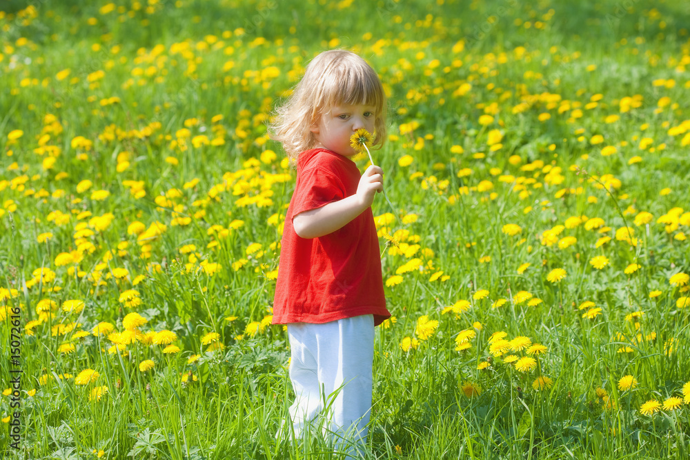 boy with a dandelion boy with a dandelion