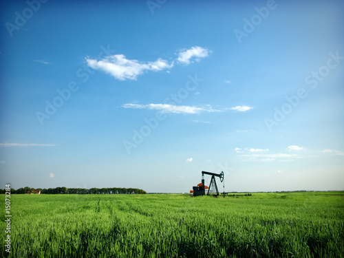 Cereal field and pump-jack