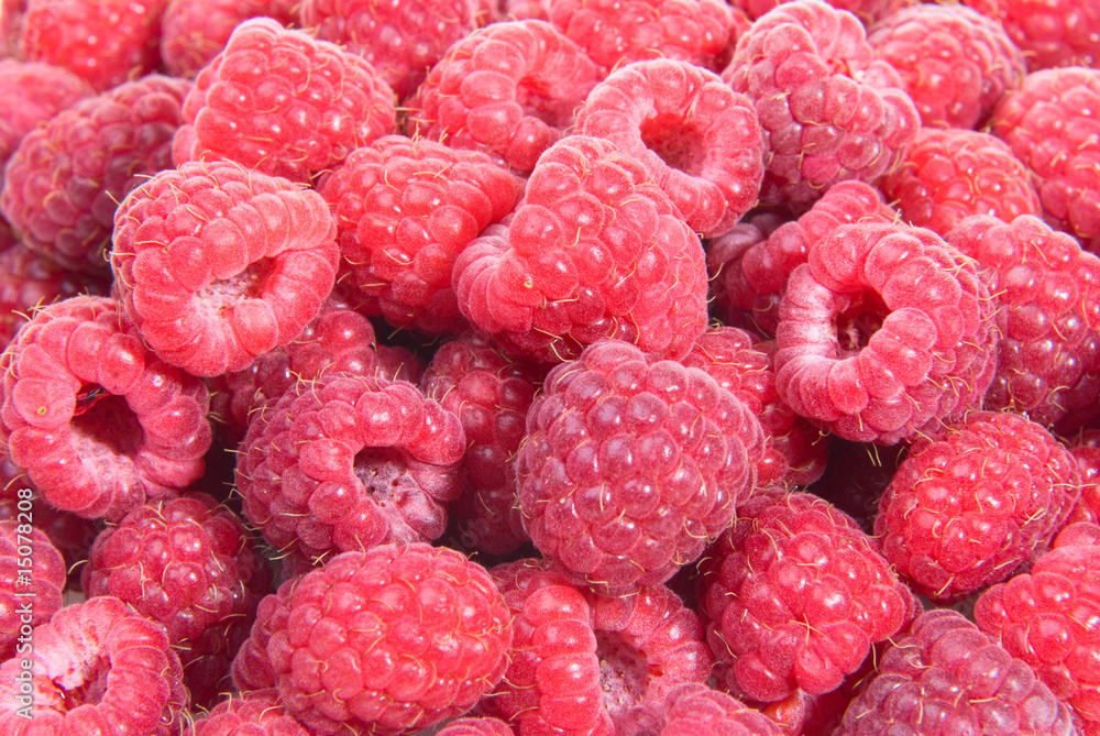 Red raspberry background Red raspberry background