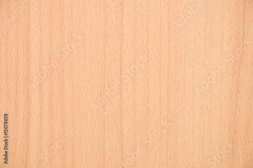 Beech wood texture