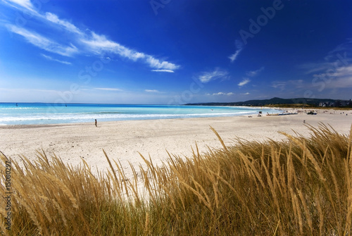 Toscana, spiagge bianche a Vada 4