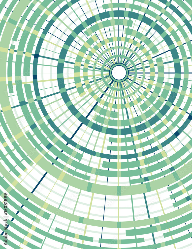 Concentric circles with radial divider background