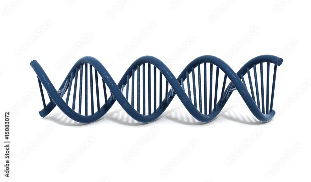 DNA DNA