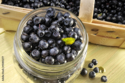 Heidelbeeren photo