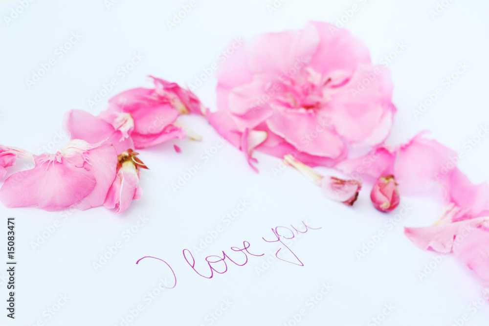 Fototapeta premium Love card with pink oleander flowers