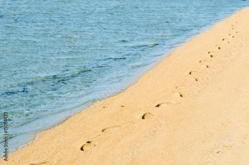 footprints at coastline