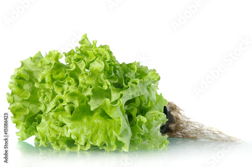 salad