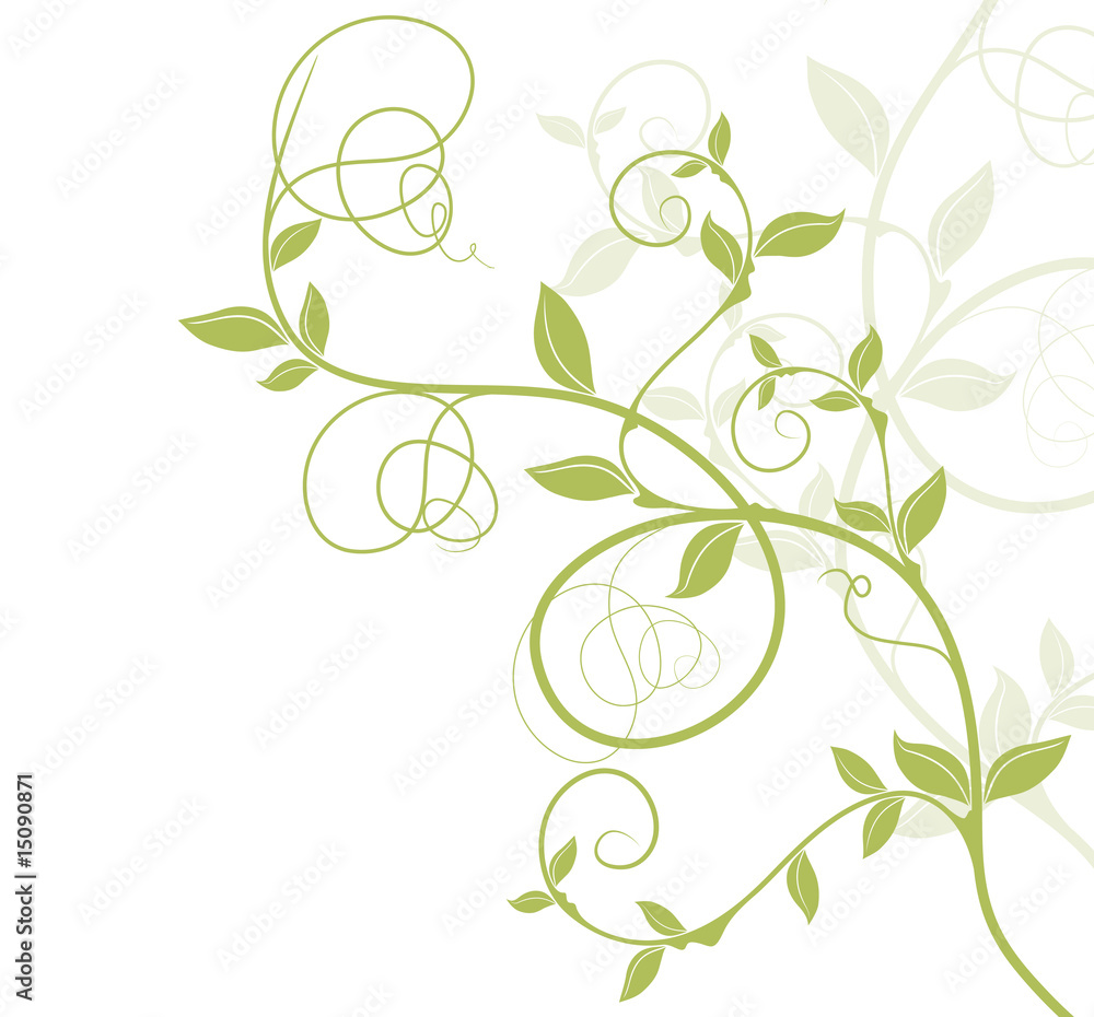 bordure décor vectoriel vert - floral design nature