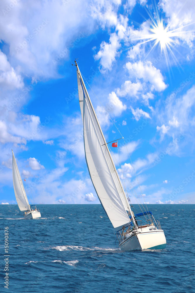 Naklejka premium Sailing yacht