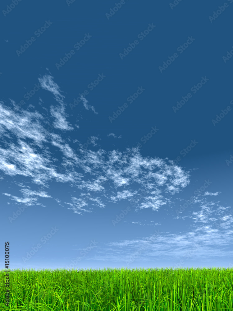 High resolution grass and sky background High resolution grass and sky background