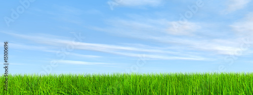 High resolution grass and sky background © high_resolution