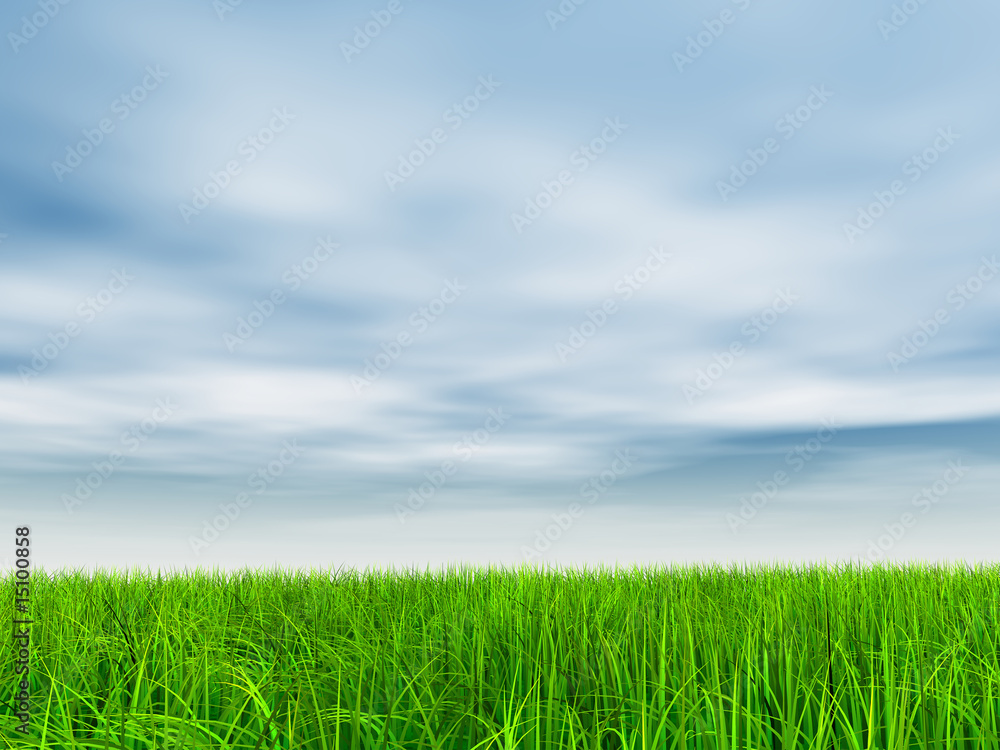 High resolution 3d green grass over a sky with clouds High resolution 3d green grass over a sky with clouds