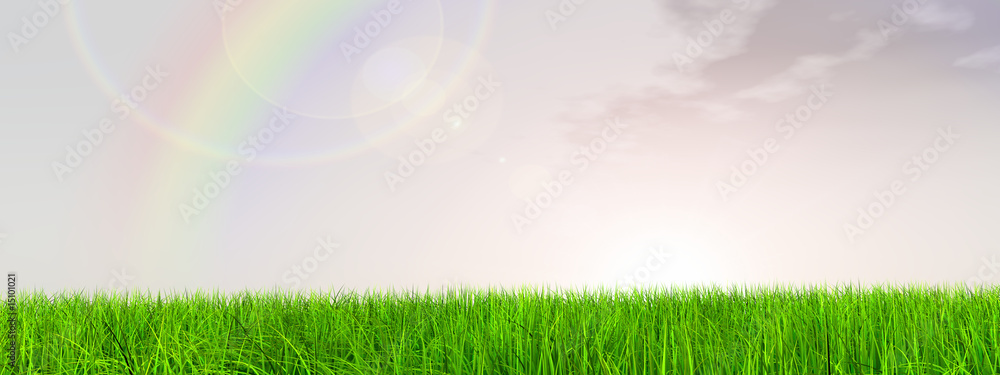 Naklejka high resolution 3d green grass, blue sky banner with a rainbow