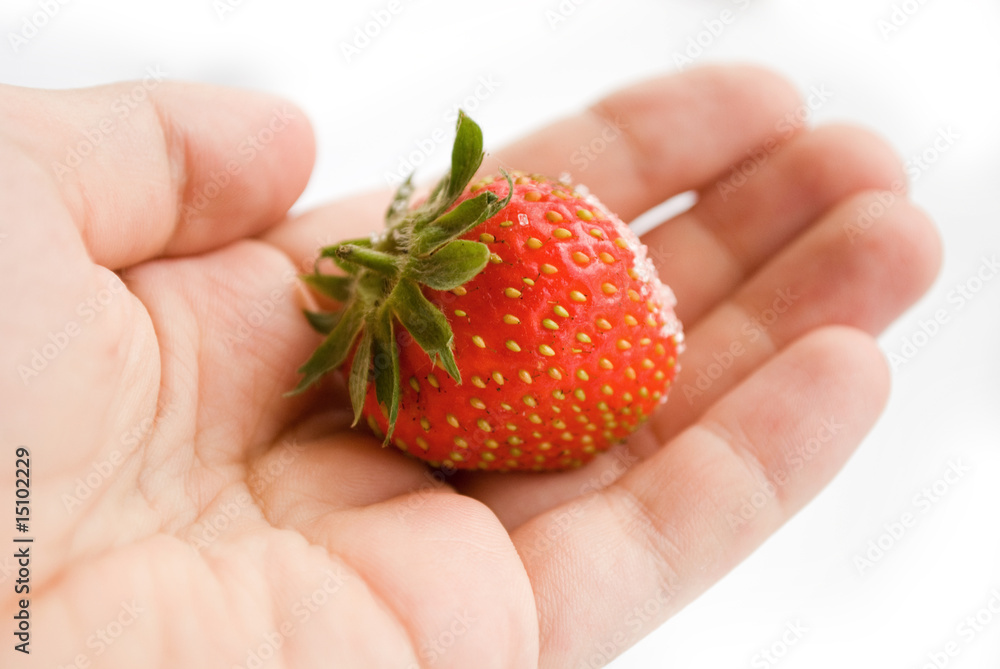 Obraz premium berry strawberries